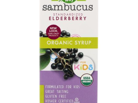 NATURE S WAY - Organic Sambucus for Kids - 4 fl oz (120 ml) on Sale