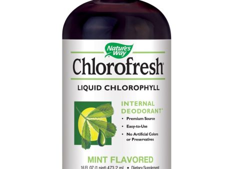 NATURES WAY - Chlorofresh Liquid Chlorophyll Natural Mint Flavor - 16 fl. oz. (473.2 ml) Supply