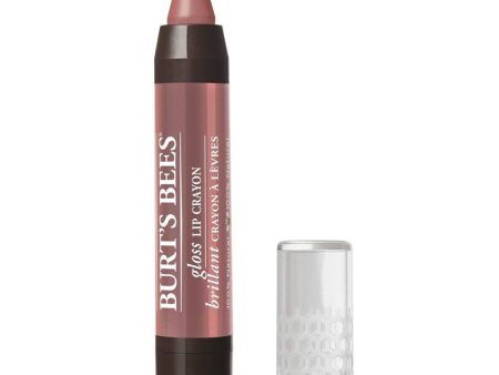 BURT S BEES - 100% Natural Moisturizing Gloss Lip Crayon, Oasis -  0.1 oz. (2.9 g) Fashion