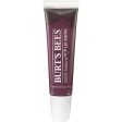 BURT S BEES - Tinted Lip Shine #060 Smooch - 0.5 oz. (14 g) For Sale