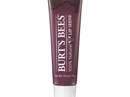 BURT S BEES - Tinted Lip Shine #060 Smooch - 0.5 oz. (14 g) For Sale